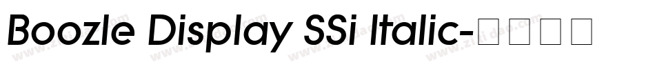 Boozle Display SSi Italic字体转换